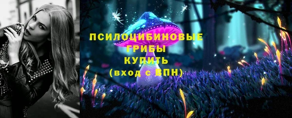 шишки Белоозёрский