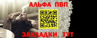 гашик Кингисепп