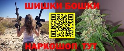 гашик Кингисепп