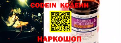 гашик Кингисепп