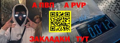 гашик Кингисепп