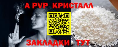 гашик Кингисепп