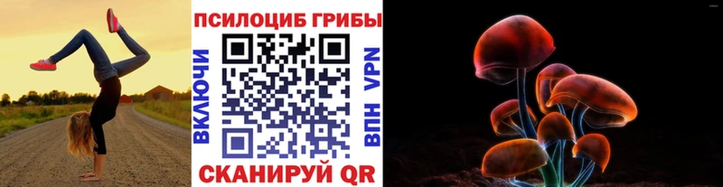 как найти Горячий Ключ Псилоцибиновые грибы прущие грибы